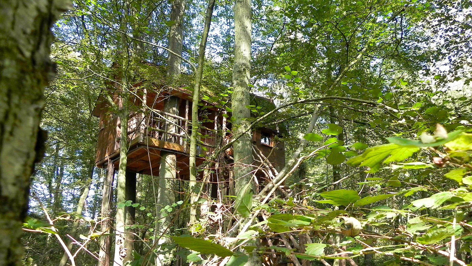 Cabane dans les arbres à Saint-Amand-les-Eaux dans le Nord