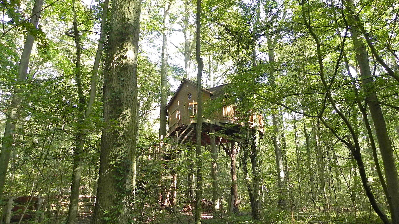 Cabane dans les arbres à Saint-Amand-les-Eaux dans le Nord