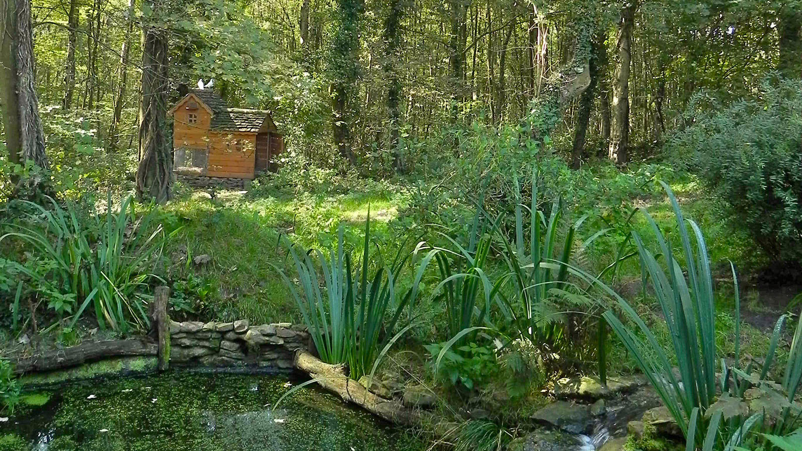 Gîte en forêt à Saint-Amand-les-Eaux dans le Nord