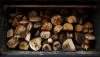Mérule bois de chauffage : Identifier ce champignon