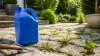 AdBlue désherbant : Utilisation, Efficacité Risque & Alternative