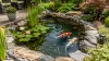Combien de Carpe Koï dans un Bassin 1000l ? La bonne Quantité