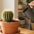 shockgarden.com​ : Avis site Jardinage & Guide jardin