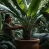 Jardinier.net : Conseils sur Jardin & Aménagement extérieur
