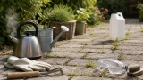Dosage acide chlorhydrique pour désherber : Désherbant jardinage