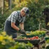 Mérule bois de chauffage : Identifier ce champignon